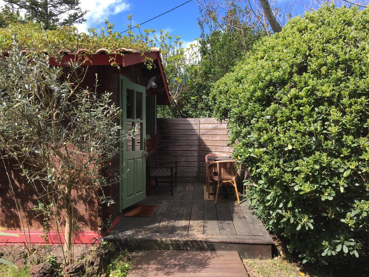 Hotel Des Pins Lège-Cap-Ferret المظهر الخارجي الصورة